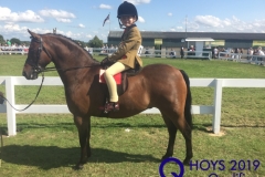 Harry-Burdess-and-Rosedale-Mr-Prospector