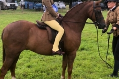 Lily-Williams-and-Barlendew-Sunrise_