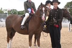 Archie-Pease-Horse_Pony-Menai-man-of-Troy