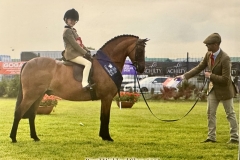 Violet-mennie-Horse_Pony-Newoak-midnight-blue