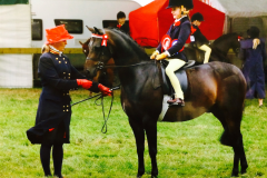 Ravara Mr Tod and Chloe