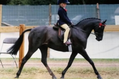 Warren fentiman and Barkway little star