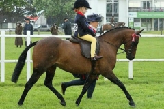 Lilly-Mae-Howard-and-Woodview-iola