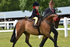 Sienna-Clay-and-Derw-Dream-Boy