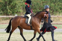 Beatrice-Stanford-Horse_Pony-Radlee-Miss-Money-Penny