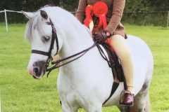 Freya Wilson & Willowdown Verity