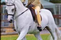 Jed williams  and Waxwing  Painter