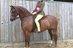 Tori Thomas riding Northlight Coppellia