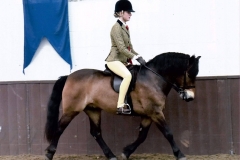 Poppy Fisher riding Mary Rose Bryant Exmoorn - Moonpenny Aquarius