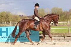 RUDOLPH-THE-RED-NOSE