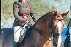 Lois-Seymour-Horse_Pony-San-Miguel