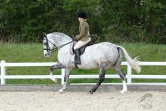 Louise-Charles-and-Digswell-Diamond