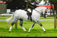 Jessica-ely-and-Silverwoods-copy