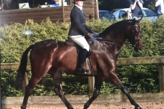 Debbie Boylan-White and Ballykelly Emperor