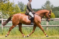 Daniel-Williams-and-Antares