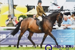 Ceri-Simpson-and-Abrahams-Quest