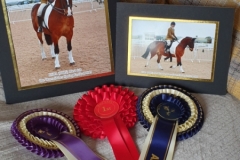 Faye Ludlow and Colorific