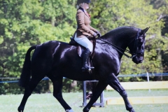 Lucy Dyer and The dark prince