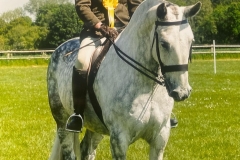 Daniel-Williams-and-Cobaholic