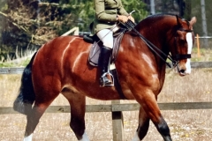 Georgina-Maywood-and-Sir-Spartacus