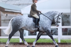 Tina-Billingsley-and-The-Grey-Goose