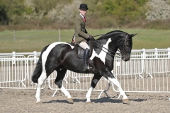 Will-Morton-and-The-Commander