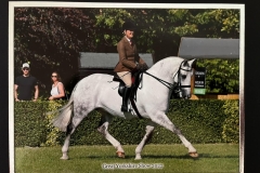 Victoria-Brooks-and-Cappa-Noah