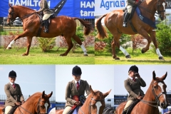 Alyssa-Wilson-Horse_Pony-Cloughdean-Captains-Orders