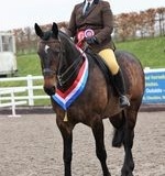 Fiona-Bebb-Evans-and-Ballangaras-Monterrey