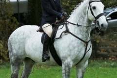 Esther-Lloyd-Jones-and-Mace-Hero