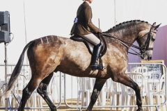 Holly-Gaunt-and-Aredis-Russel