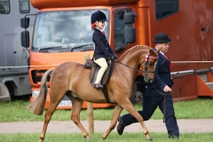 and-Elmswood-Spring-Fling