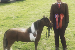 Hannah Bradley and Ujenik Dudes Sombrero