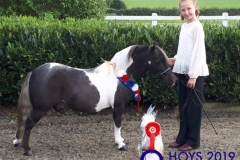 Grace-Radford-and-Silver-Grace-Inca-Warrior