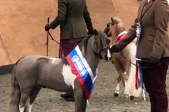 Hannah Bradley and Ujenik Dudes Sombrero