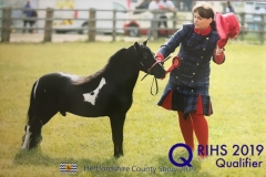 Harriet Wood and Summerrose Little Hawk copy