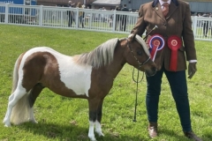 Liz-Bradley-and-Ujenik-Extasys-Fine-Design