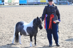 Ashley-Schofield-and-Strikes-Wild-Flower