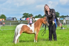 Claudia-Foulkes-Horse_Pony-Dragonara-Conquistadors-Frankie-Dettori