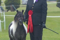 Donabi UK Uno Lalique