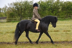 William-Parkin-and-Newoak-Gold-Edition