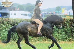 Davinia-Johnson-and-Stowbrook-Red-Kite