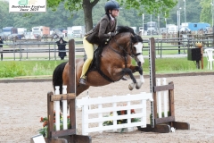 Dana-Simpson-Horse_Pony-Dunaskin-Gimli