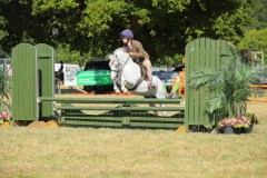 Faith-Bruno-Horse_Pony-Gelebdale-Rock-and-Roll