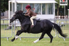 Harriett-Platt-Horse_Pony-Hayesbrook-Double-Trouble