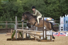 Molly-Barker-Horse_Pony-Moonpenny-Delphinus