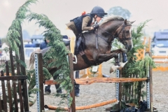 Elizabeth Rooke-and-Llanai-Renaissance