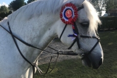 Amber-Marnane-and-Danny’s-Pride-copy