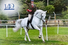 Ellis-Priestley-and-Blakehill-Rebel