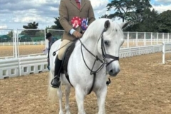 Steven-Kerby-and-Hillview-Lad